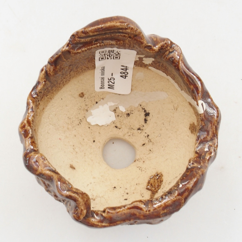 Muszla ceramiczna 7 x 7 x 7,5 cm, kolor brązowy