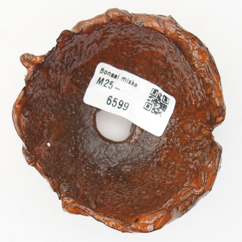 Ceramiczna muszla 8,5 x 8 x 5 cm, kolor pomarańczowy