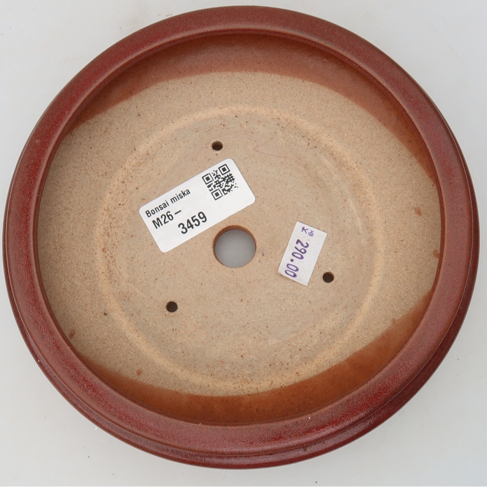 Ceramiczna miska do bonsai 15 x 15 x 5 cm, kolor bordowy