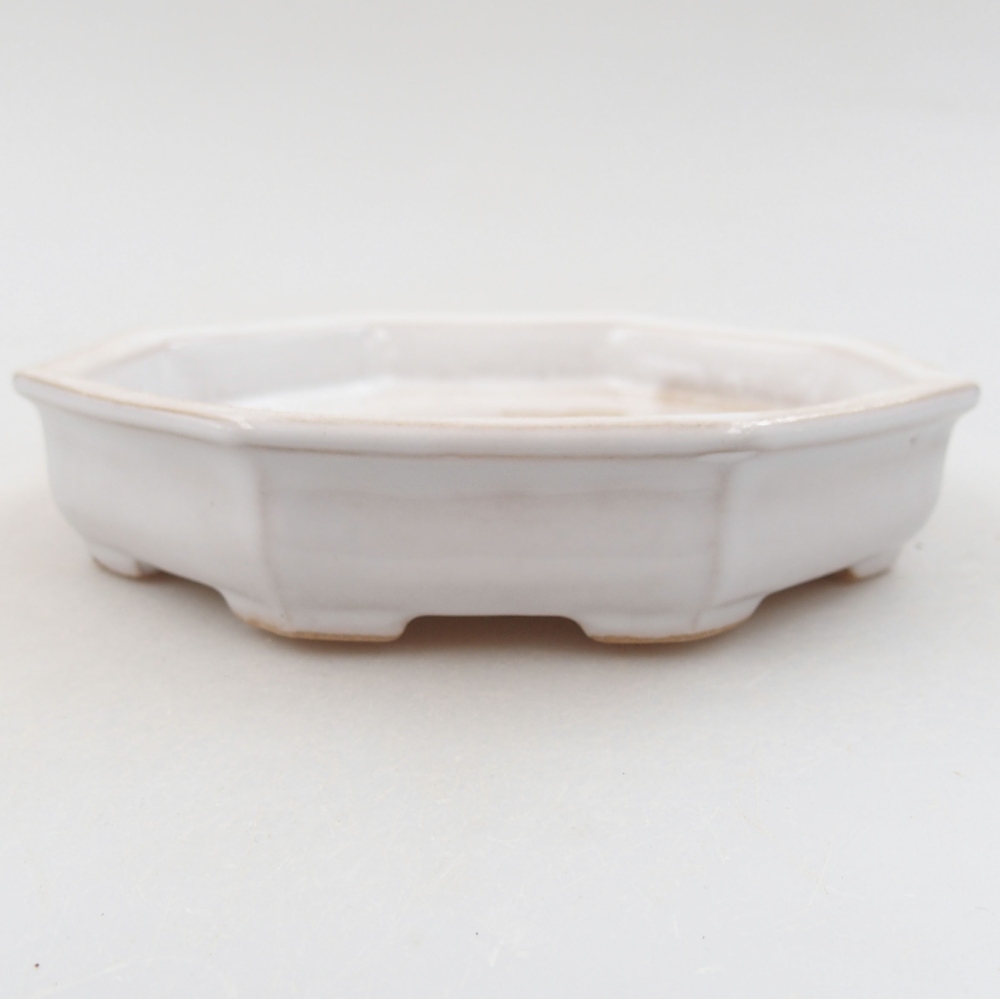 Ceramiczna miska bonsai 11,5 x 11,5 x 2,5 cm, kolor biały