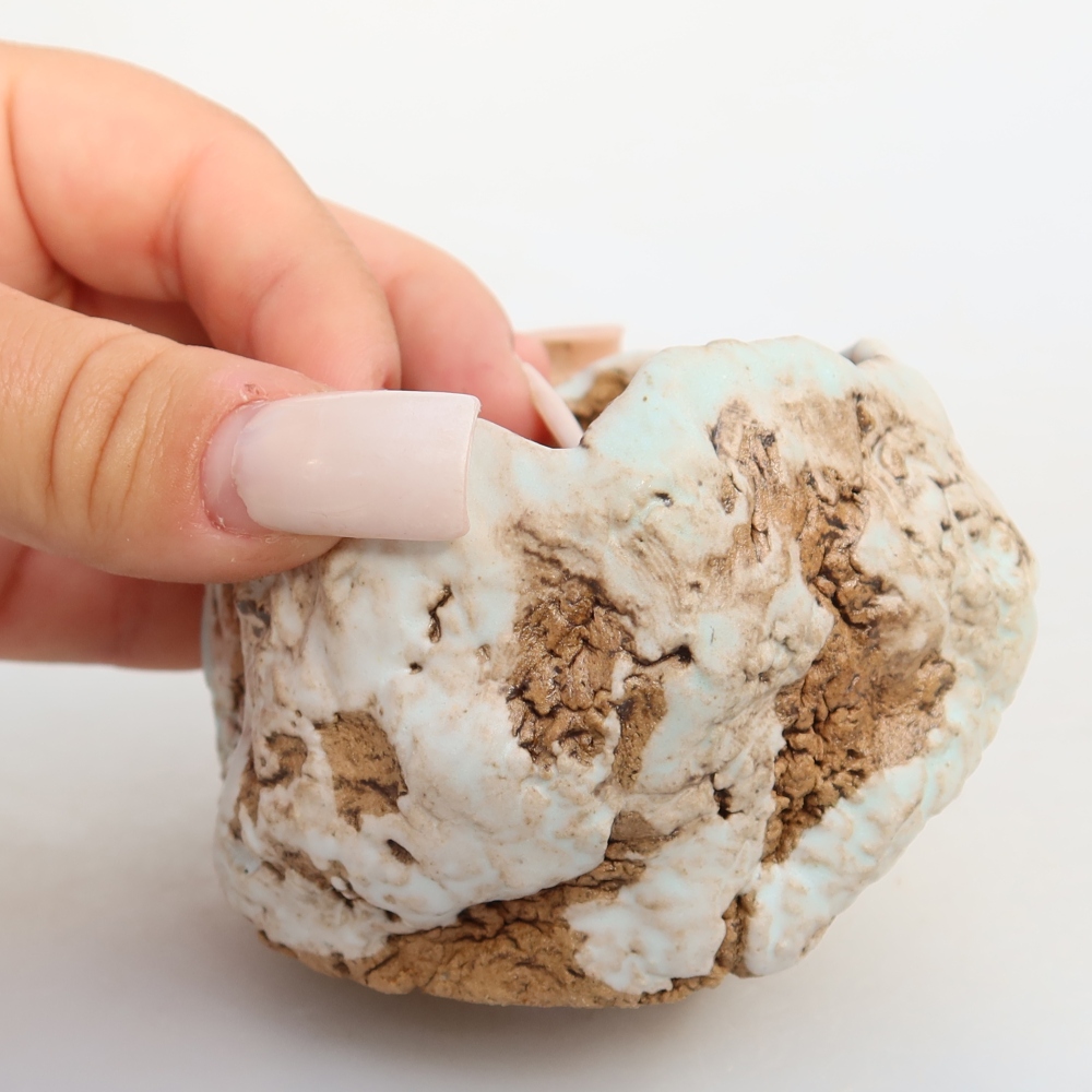 Ceramiczna skorupa  7 x 7 x 6 cm, kolor biało-brązowy