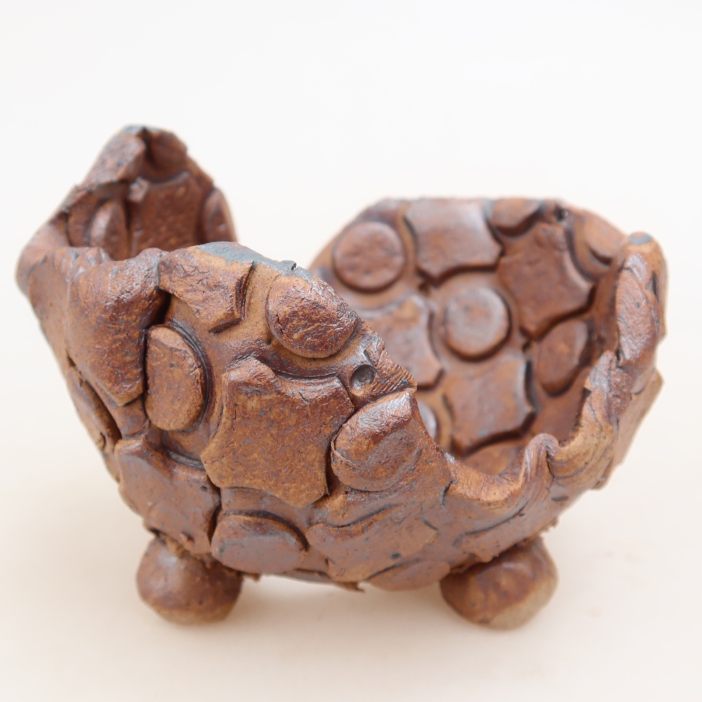 Ceramiczna skorupa  9 x 8 x 5,5 cm, kolor brązowy