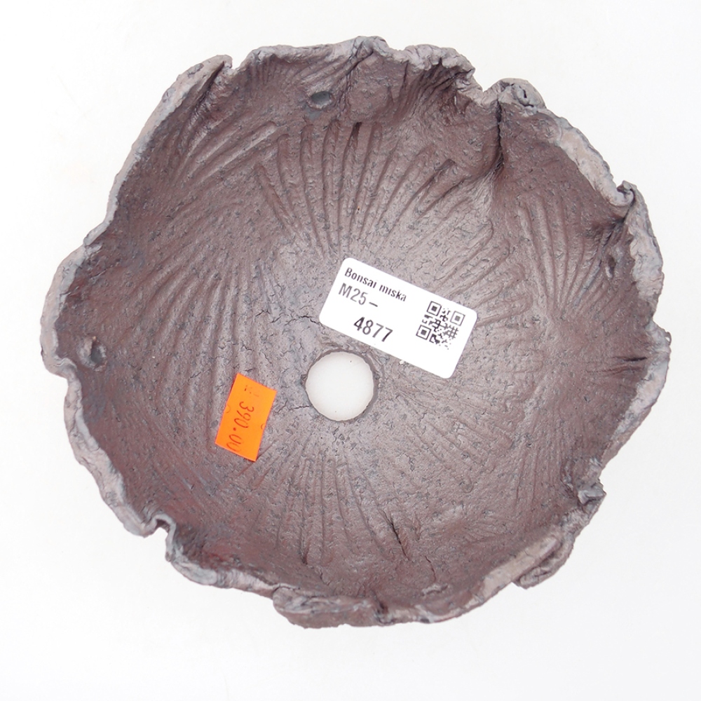 Muszla ceramiczna 13,5 x 13 x 7 cm, kolor metaliczny