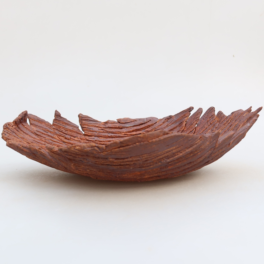 Ceramiczna skorupa  24 x 17 x 6,5 cm, kolor brązowy