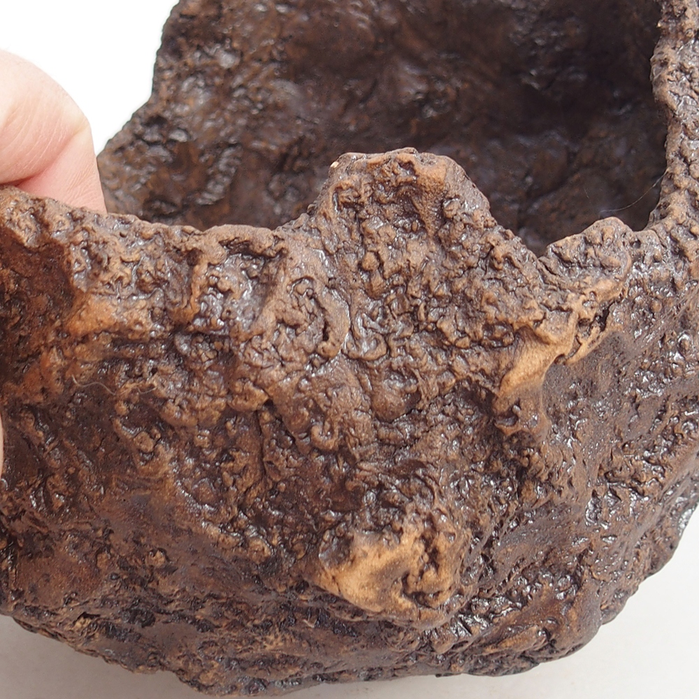 Ceramiczna skorupa 19 x 15 x 14 cm, kolor brązowy