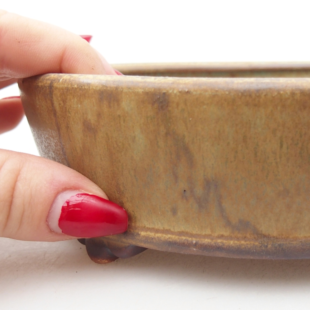 Ceramiczna miska do bonsai 15,5 x 15,5 x 5 cm, zielona