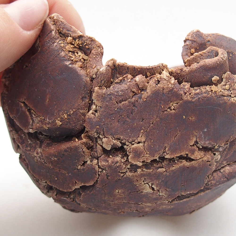 Muszla ceramiczna 9 x 8,5 x 6,5 cm, kolor brązowy