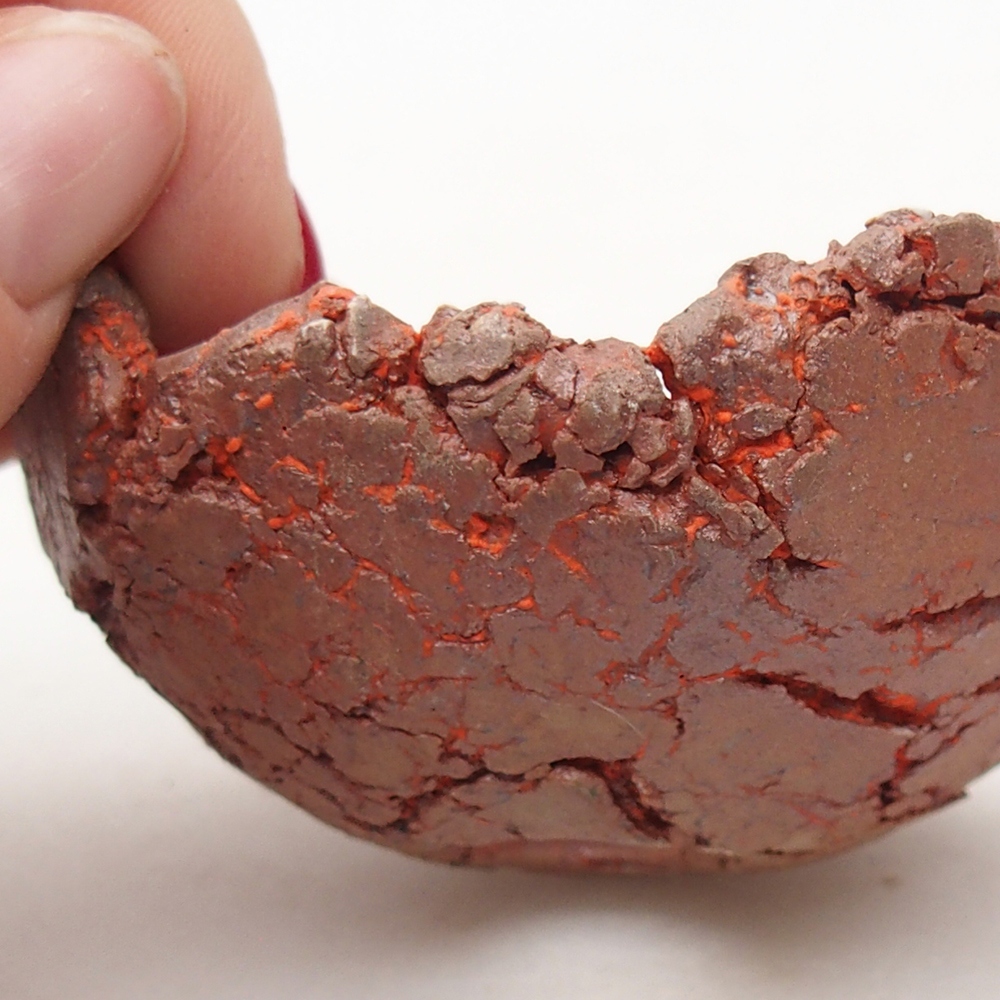 Ceramiczna muszla 7,5 x 6,5 x 3,5 cm, kolor pomarańczowy