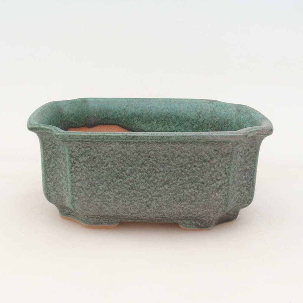 Bonsai bowl + spodek H01 - zielony