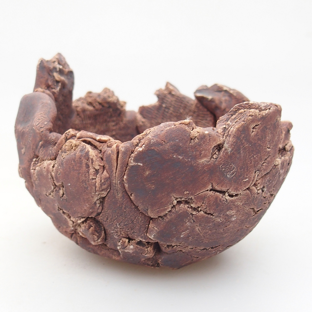 Ceramiczna muszla 9,5 x 9 x 7 cm, kolor brązowy