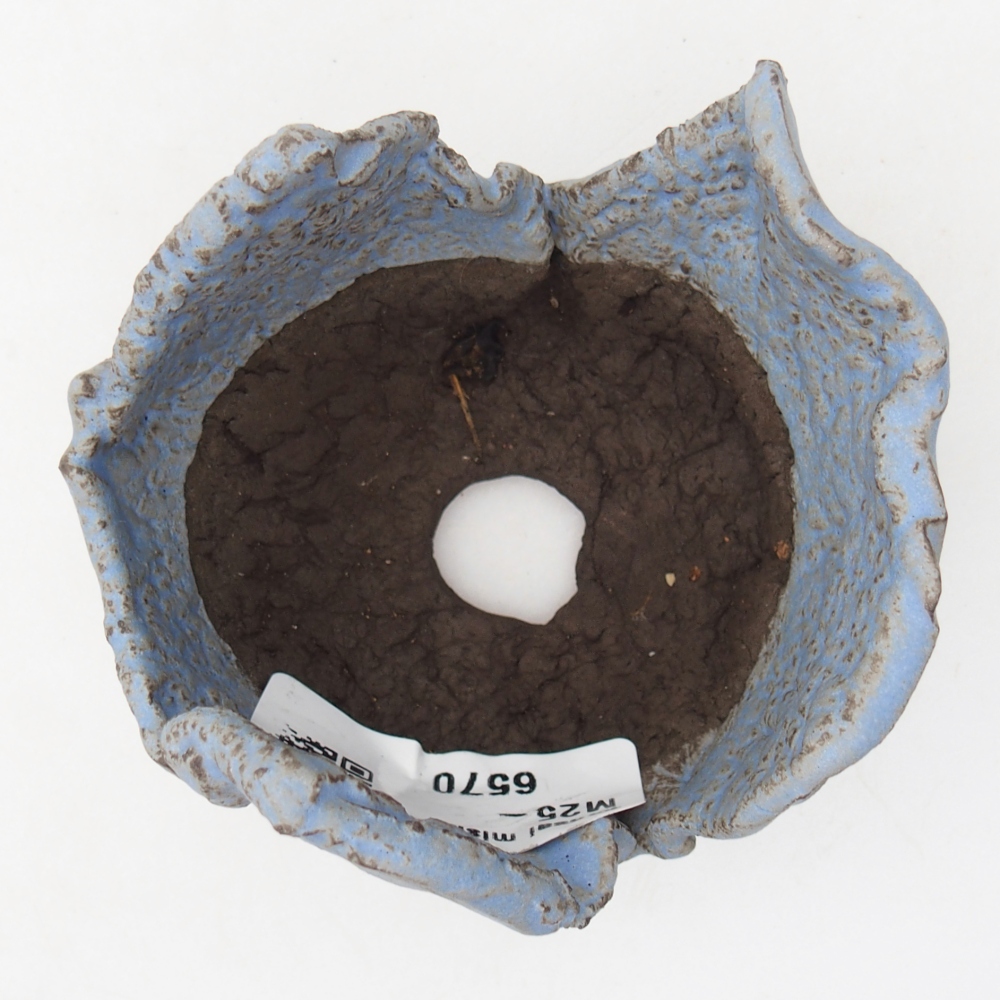 Ceramiczna muszla 7 x 8 x 5,5 cm, kolor niebieski