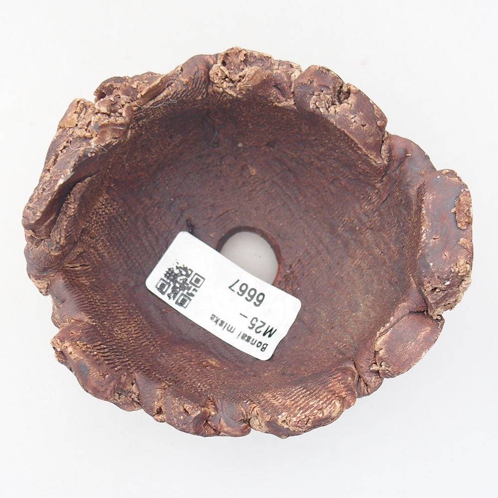 Ceramiczna muszla 9 x 9 x 6 cm, kolor brązowy
