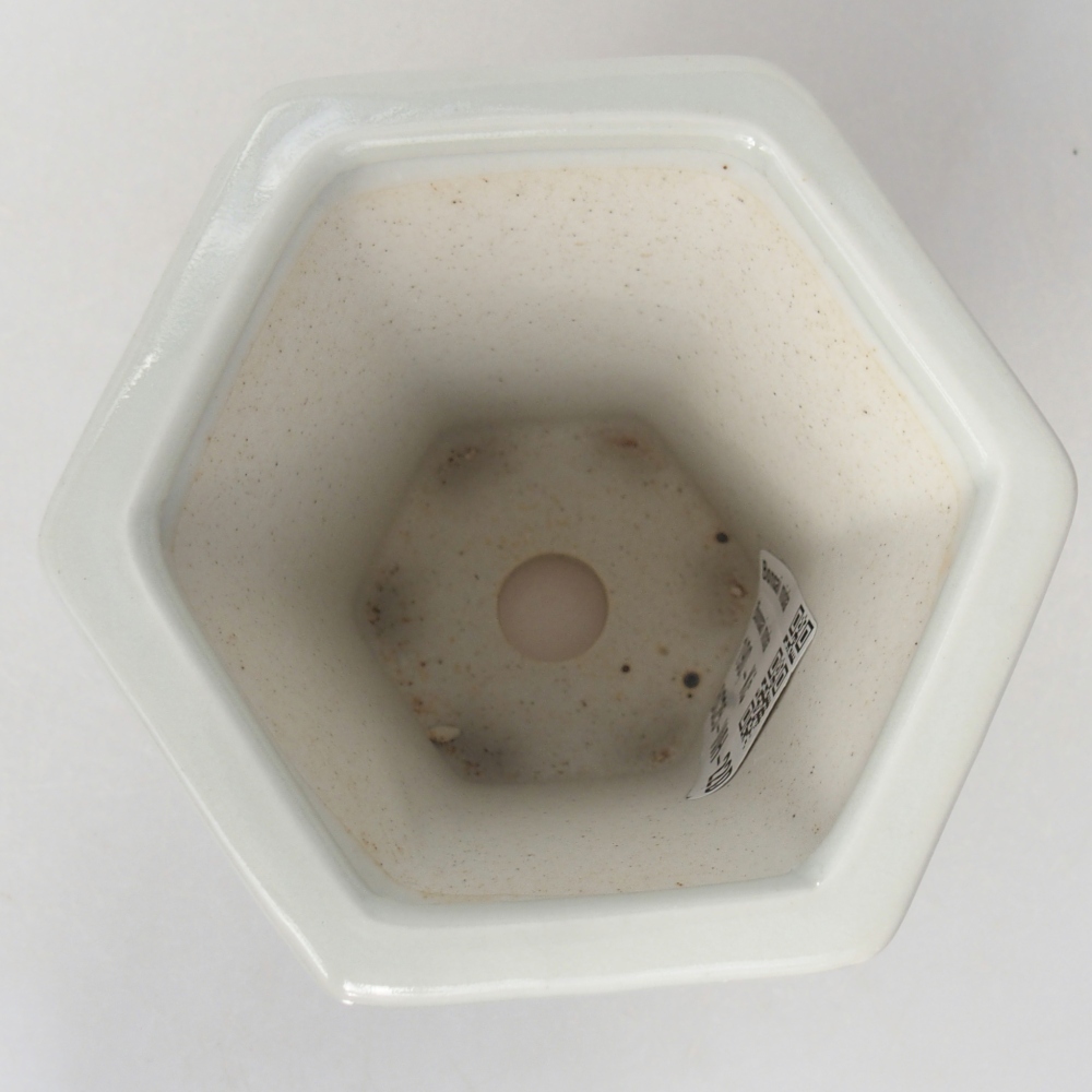 Ceramiczna miska do bonsai 10 x 9 x 9 cm, kolor biały