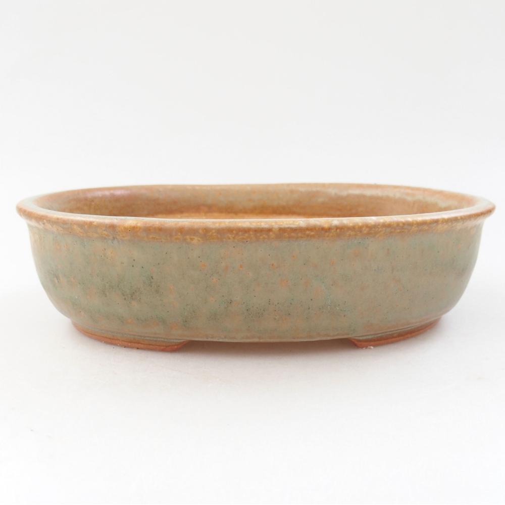 Ceramiczna miska bonsai 19 x 15 x 5 cm, kolor zieliony