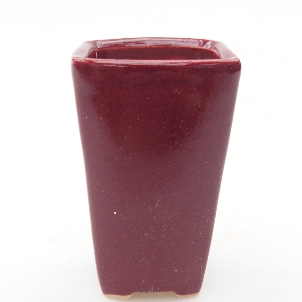 Mini miska do bonsai 3,5 x 3 x 5,5 cm, kolor bordowy