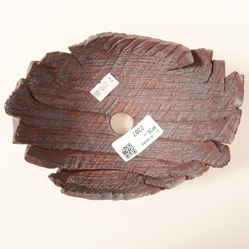 Ceramiczna skorupa  15,5 x 12 x 9 cm, kolor brązowy