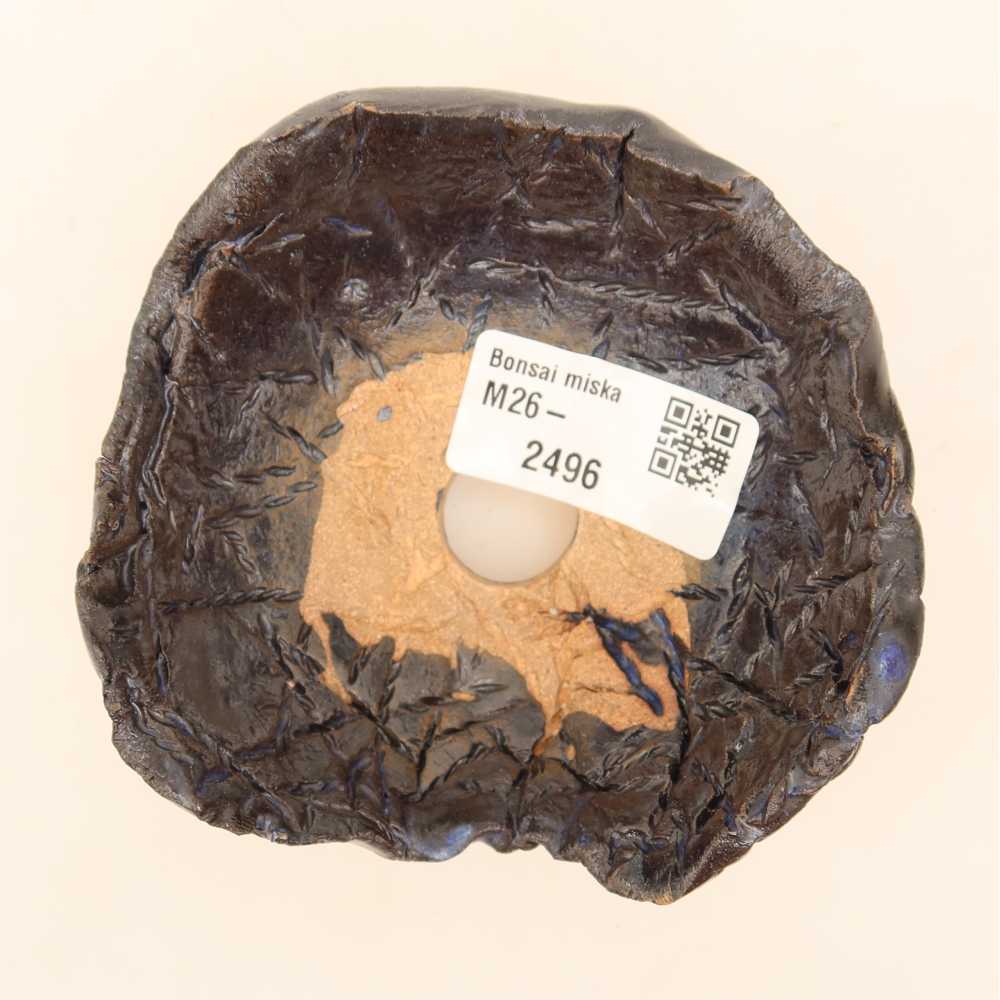 Ceramiczna skorupka  9,5 x 9,5 x 5 cm, kolor czarno-niebieski