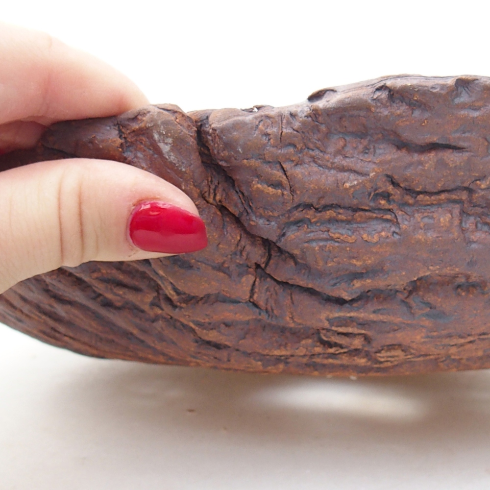 Ceramiczna skorupa 28 x 21 x 9 cm, kolor brązowy