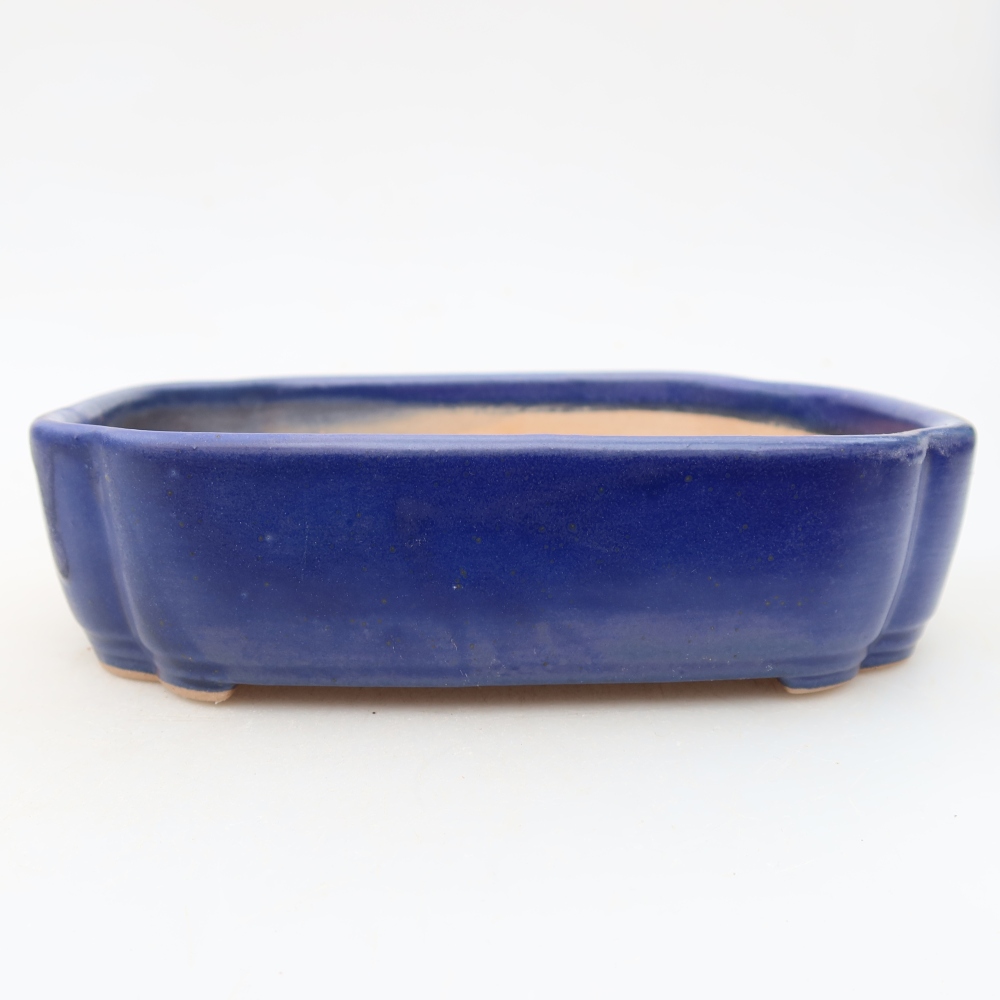 Ceramiczna miska do bonsai 16 x 11,5 x 4 cm, kolor niebieski