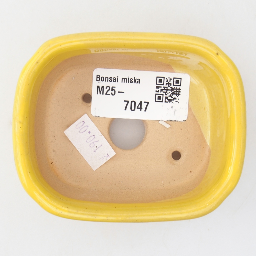 Ceramiczna miska na bonsai 8,5 x 7 x 3,5 cm, żółta