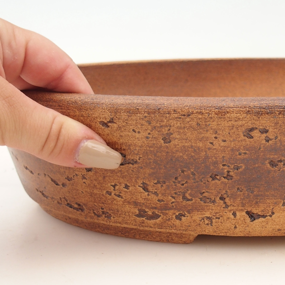 Misa do bonsai 32 x 25 x 7,5 cm, kolor brązowy