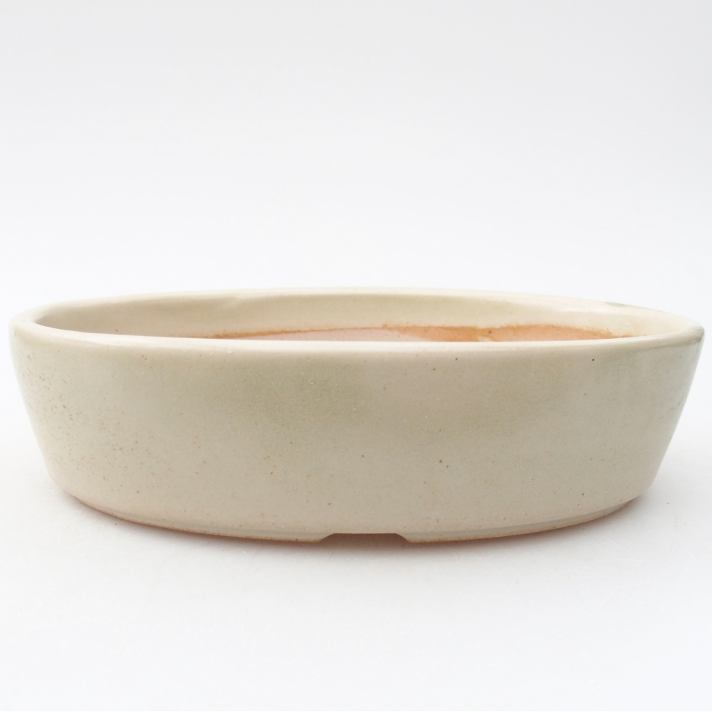Ceramiczna miska do bonsai 16,5 x 11,5 x 4,5 cm, kolor beżowy