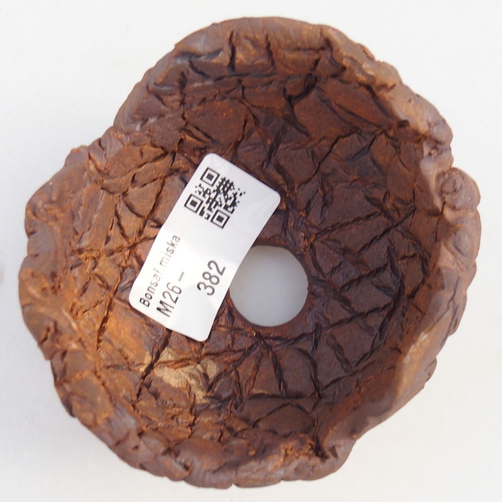 Ceramiczna muszla 8,5 x 8,5 x 6 cm, kolor brązowy