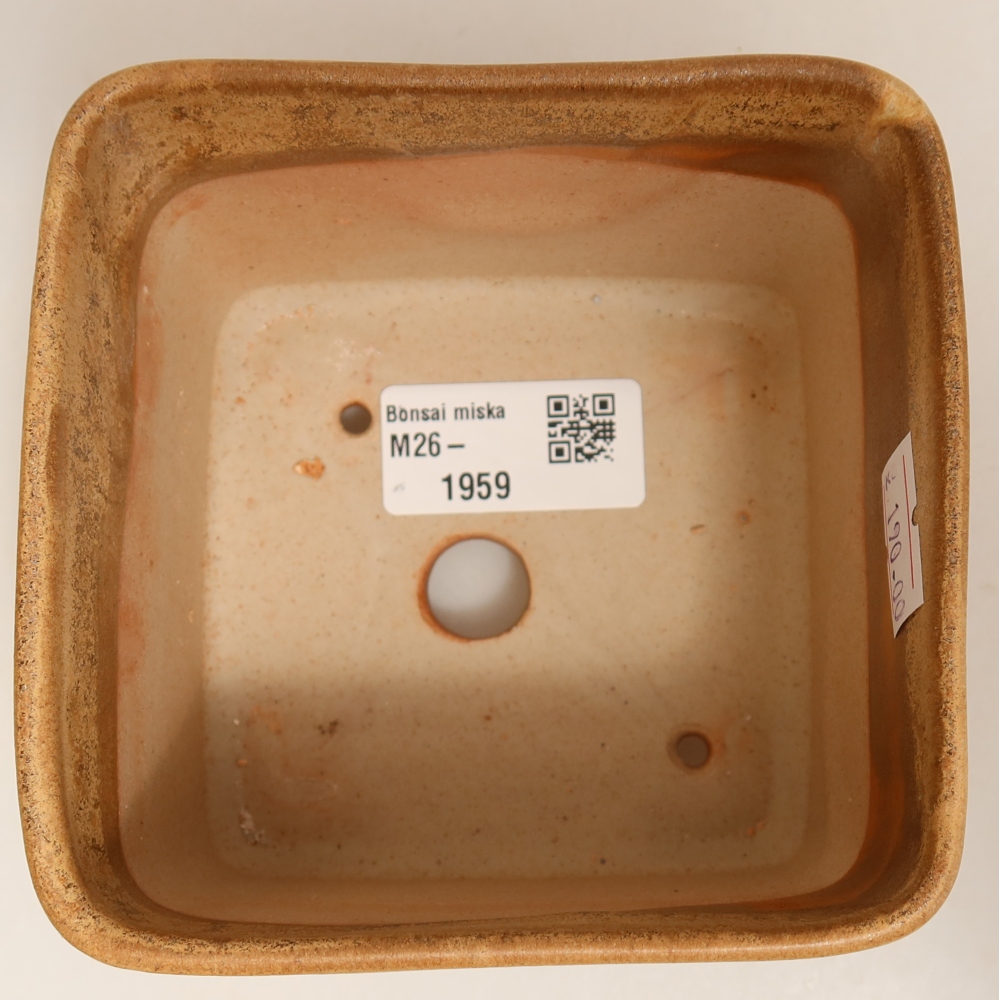 Ceramiczna miska do bonsai 10 x 10 x 8,5 cm, kolor beżowy