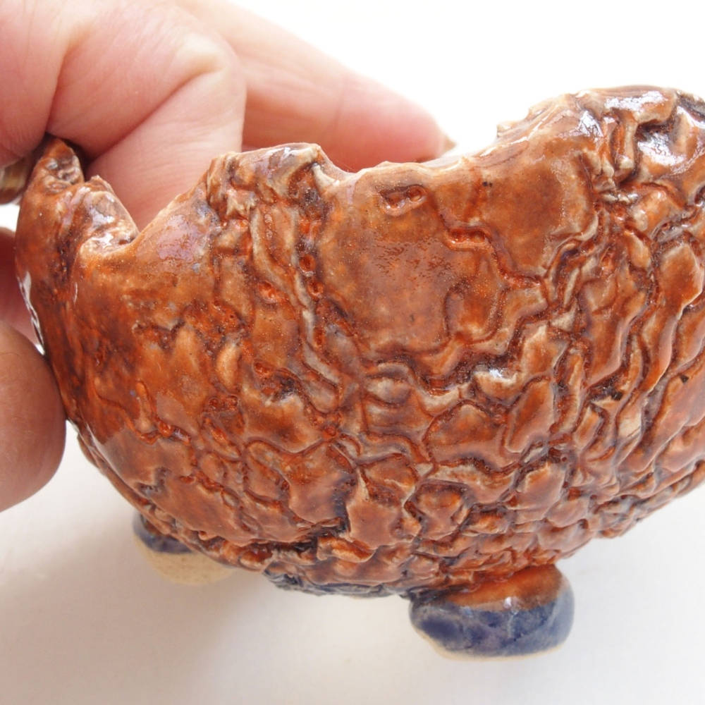 Muszla ceramiczna 8 x 7,5 x 6 cm, kolor brązowy
