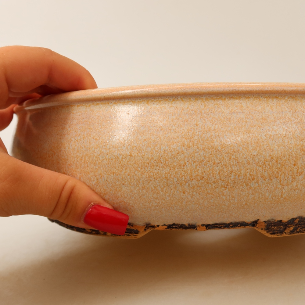 Ceramiczna miska do bonsai 24 x 24 x 7 cm, kolor beżowy
