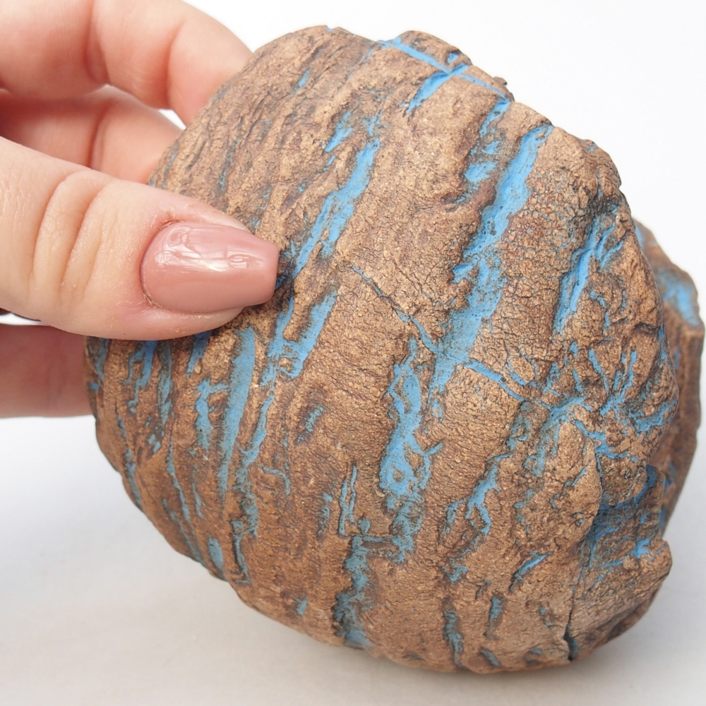 Ceramiczna skorupa 10 x 9,5 x 10,5 cm, kolor niebieski