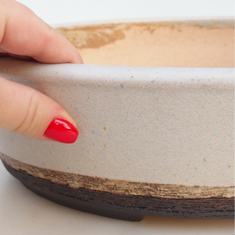 Misa do bonsai 32,5 x 26,5 x 8,5 cm, kolor beżowy