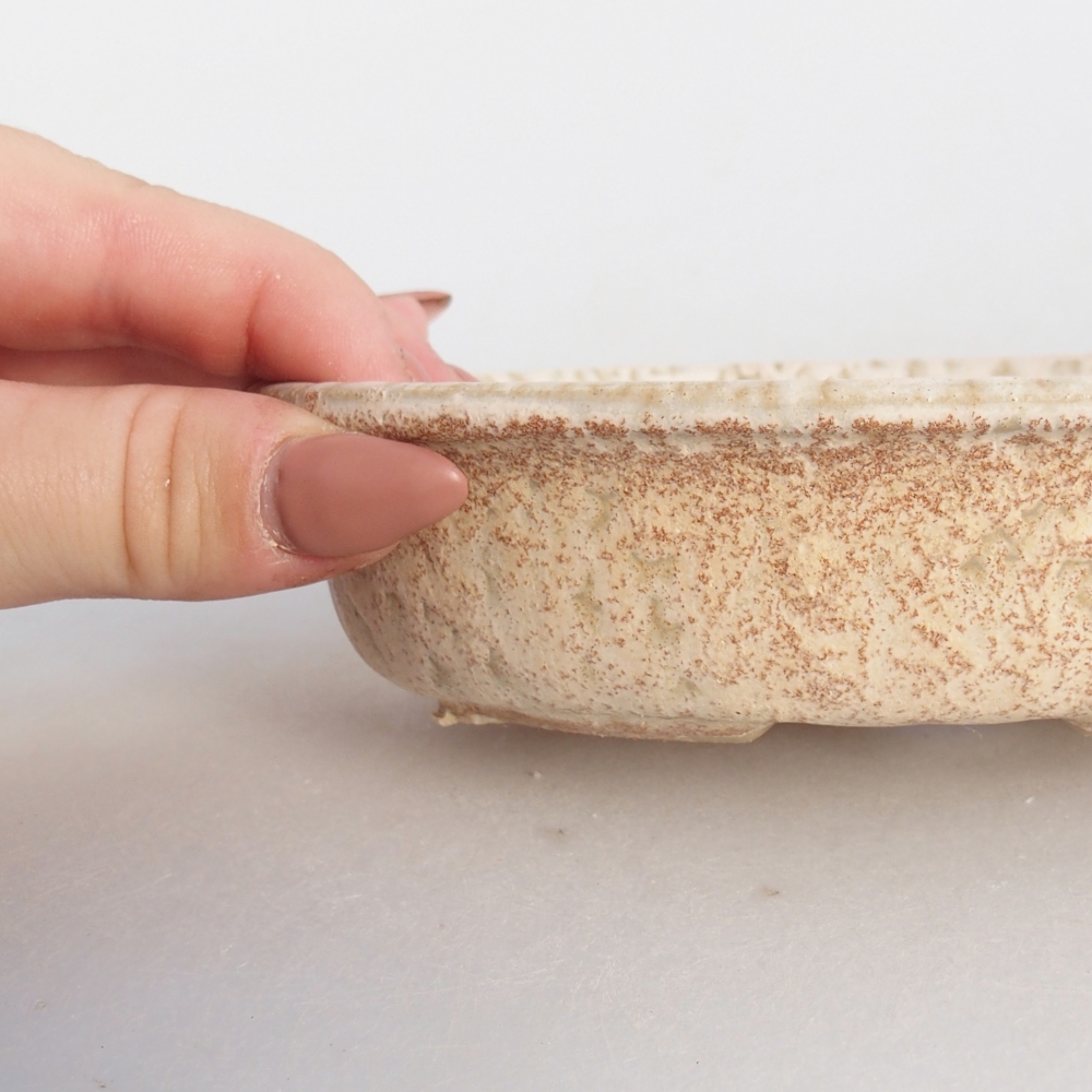 Ceramiczna miska do bonsai 15 x 10,5 x 3,5 cm, kolor beżowy