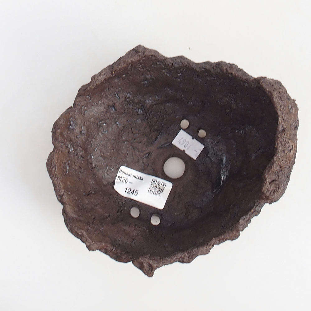 Ceramiczna skorupa 14 x 13 x 13 cm, kolor brązowy