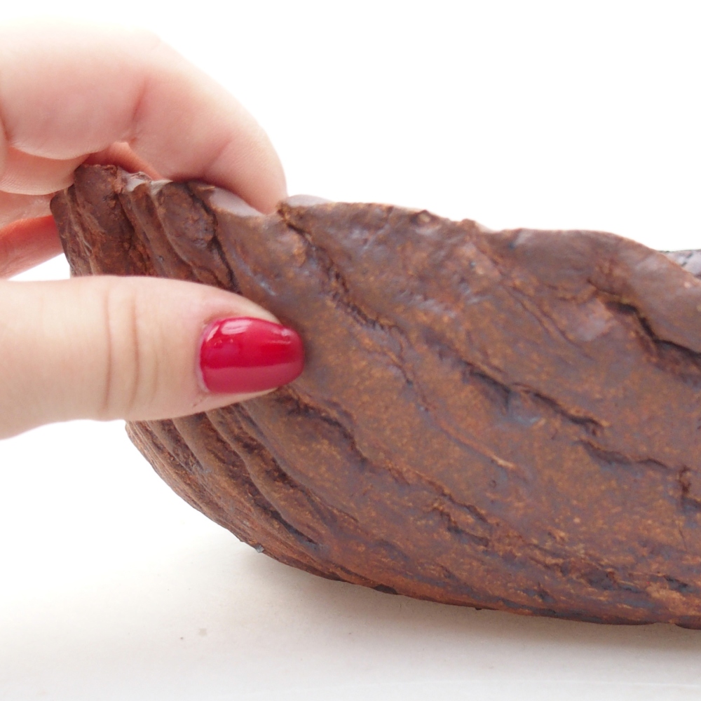 Ceramiczna muszla 23 x 23 x 7 cm, kolor brązowy