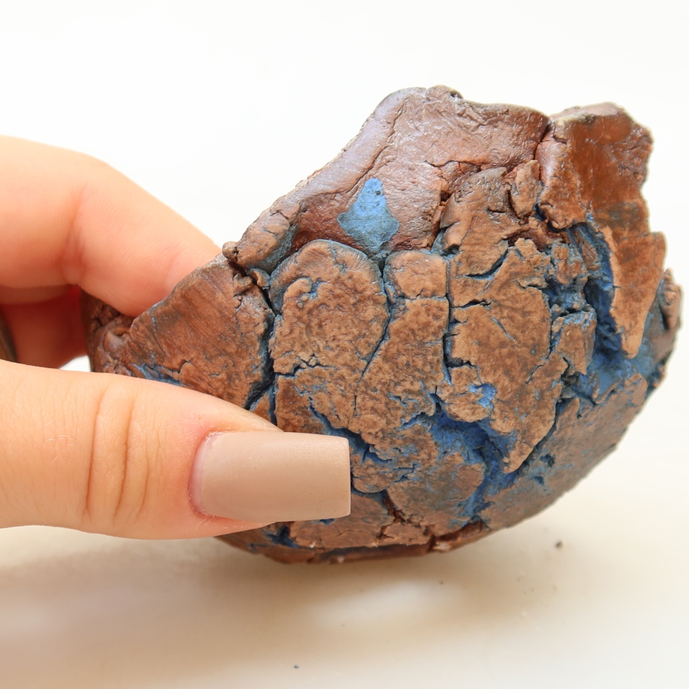 Ceramiczna muszla 9 x 9 x 5,5 cm, kolor niebieski