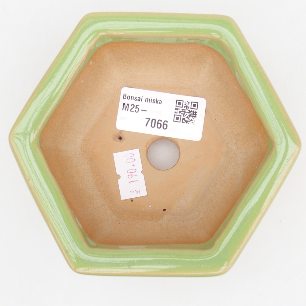 Ceramiczna miska do bonsai 12 x 10,5 x 4,5 cm, zielona