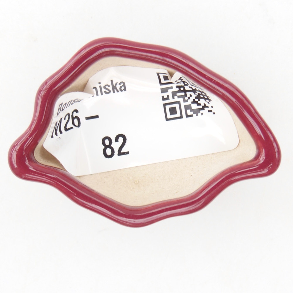 Mini miska do bonsai 5 x 3 x 2 cm, bordowa