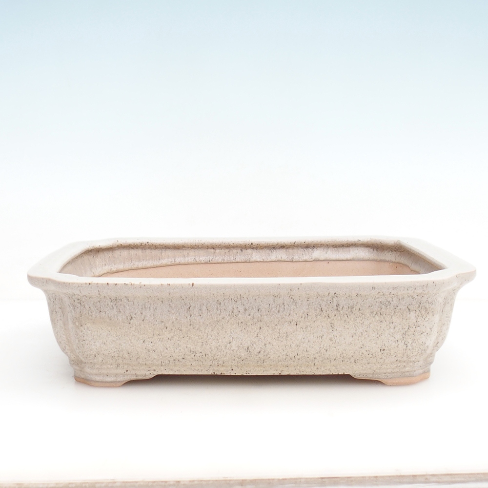 Miska bonsai + spodek H20 - 26,5 x 21,5 x 6,5 cm - beżowy
