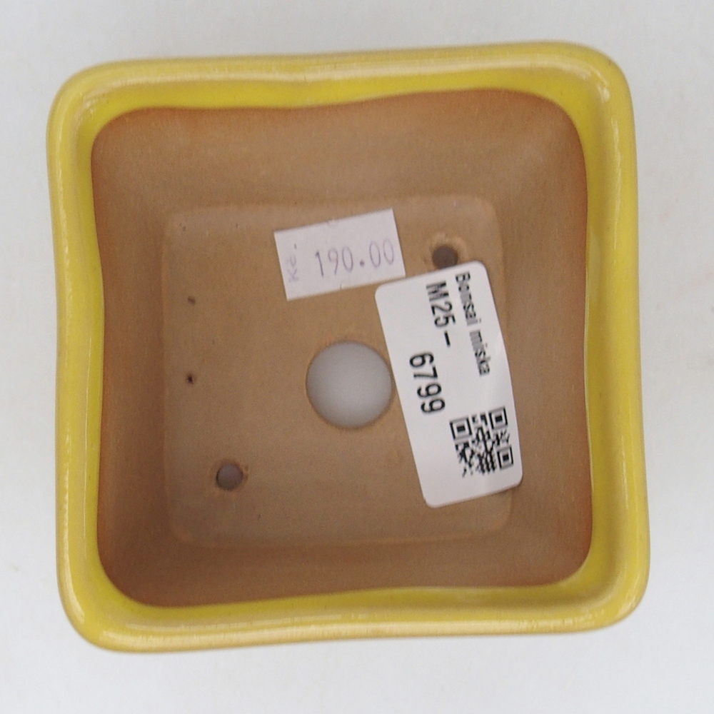 Ceramiczna miska do bonsai 8,5 x 8,5 x 6 cm, żółta