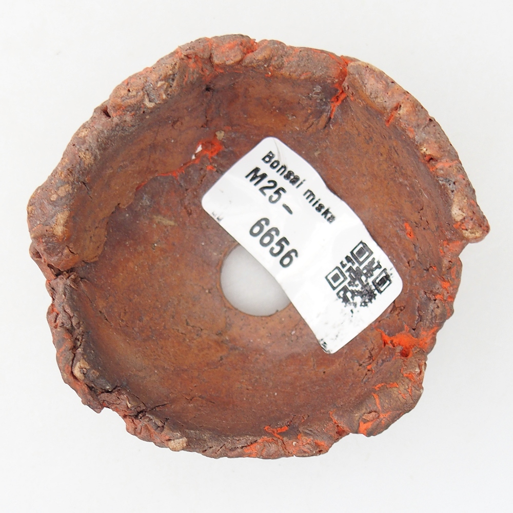 Ceramiczna muszla 7 x 7 x 3,5 cm, kolor pomarańczowy