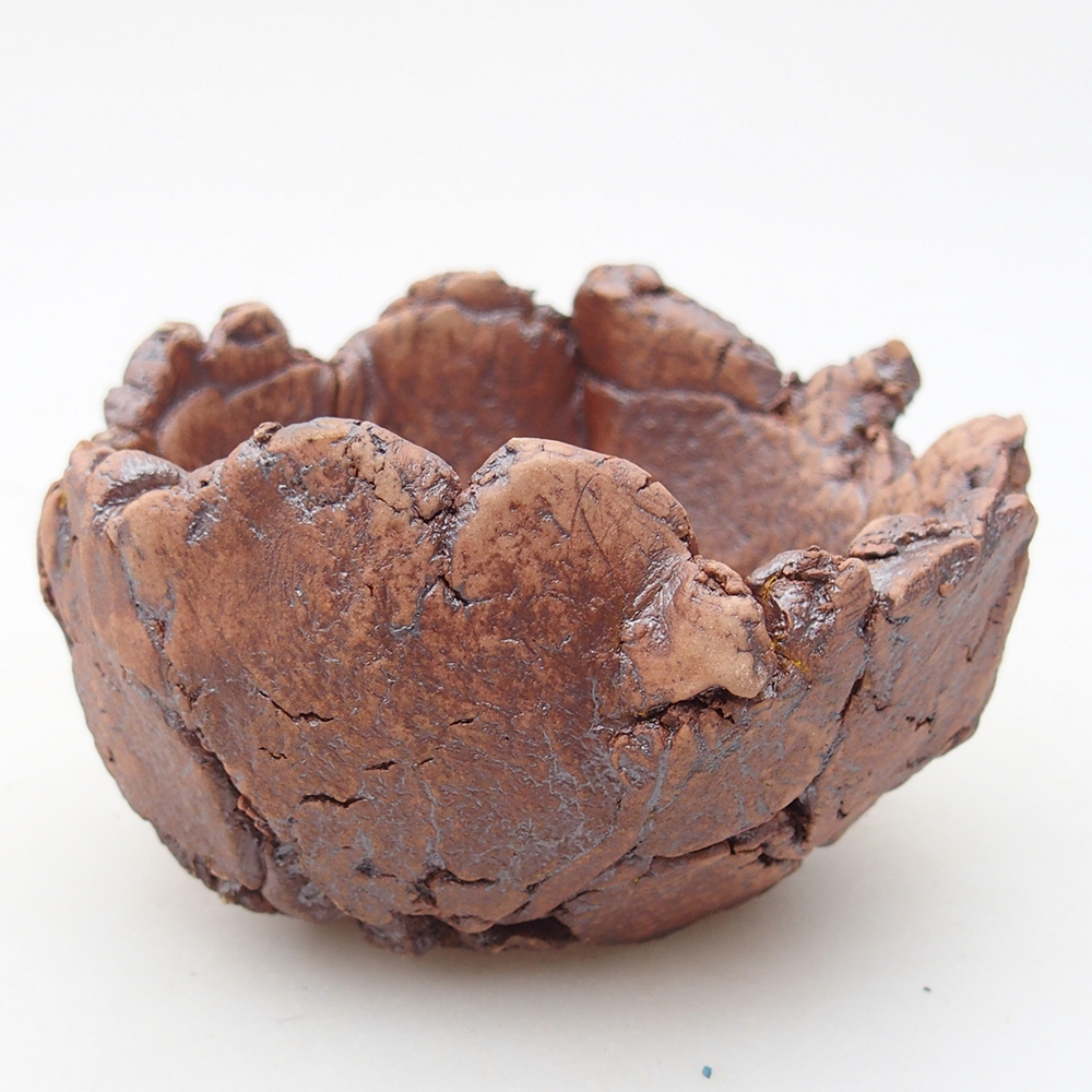 Muszla ceramiczna 9,5 x 8,5 x 5,5 cm, kolor brązowy