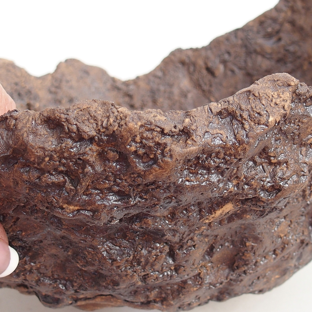 Ceramiczna skorupa 19 x 15 x 14 cm, kolor brązowy