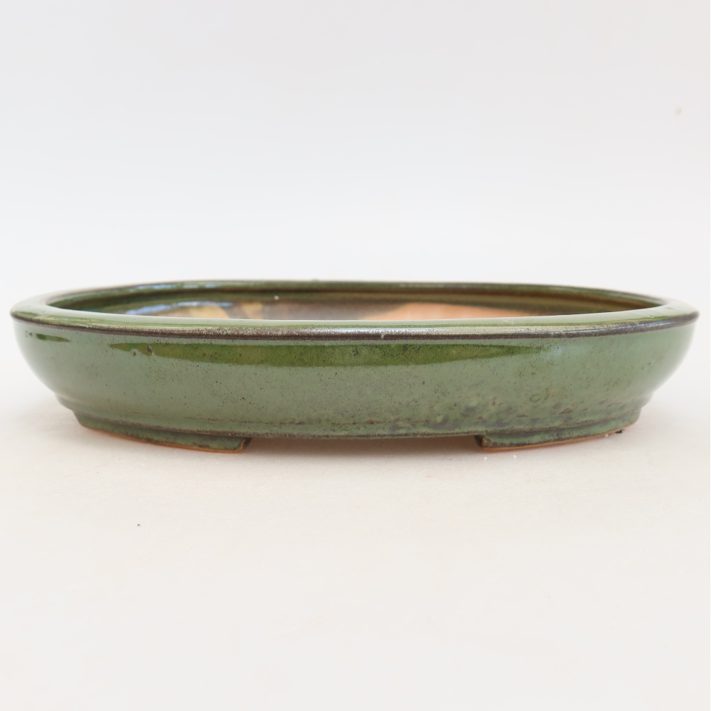 Ceramiczna miska do bonsai 24,5 x 20 x 4 cm, zielona