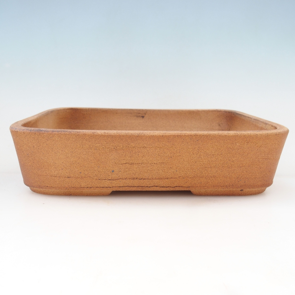 Misa bonsai 30 x 24 x 7 cm, kolor brązowy