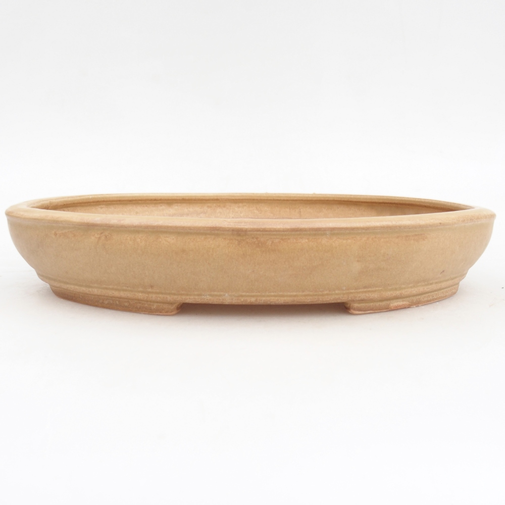 Ceramiczna miska do bonsai 24,5 x 20 x 4 cm, kolor beżowy