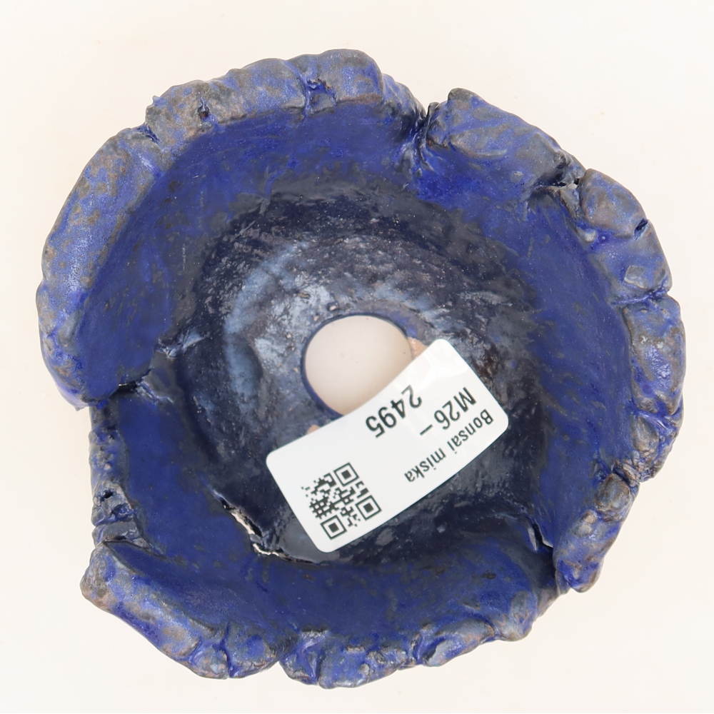 Ceramiczna skorupka  10 x 9,5 x 5,5 cm, kolor niebieski