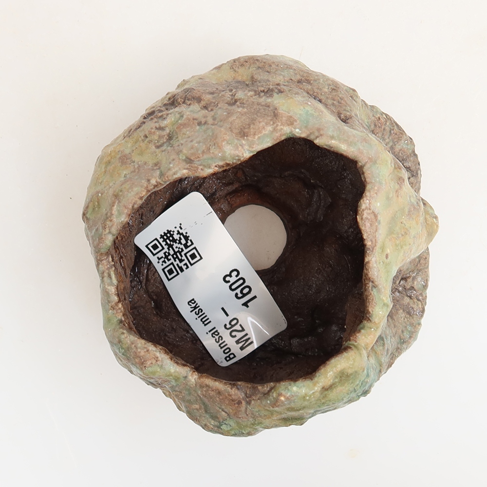 Ceramiczna skorupka  5,5 x 4,5 x 6 cm, kolor zielony