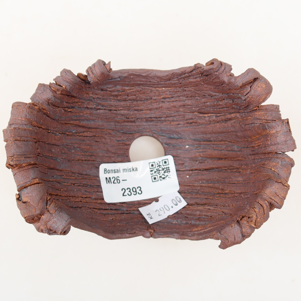 Ceramiczna skorupa  12 x 8 x 7 cm, kolor brązowy