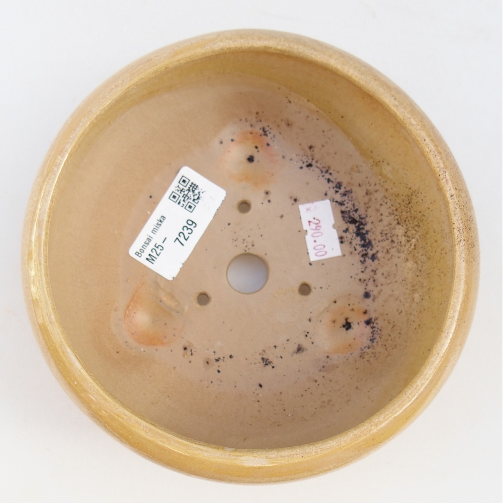 Ceramiczna miska na bonsai 14,5 x 14,5 x 7 cm, kolor beżowy